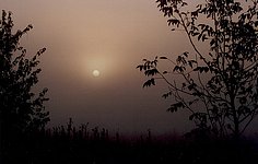 Fotografie od �t�p�na Raka