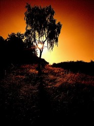 Stepan Rak - my pictures
