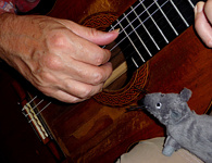 TECHNICAL USE OF ALL FINGERS OF THE RIGHT HAND  NEW TECHNIQUES AND GUITAR EXPRESSIONS